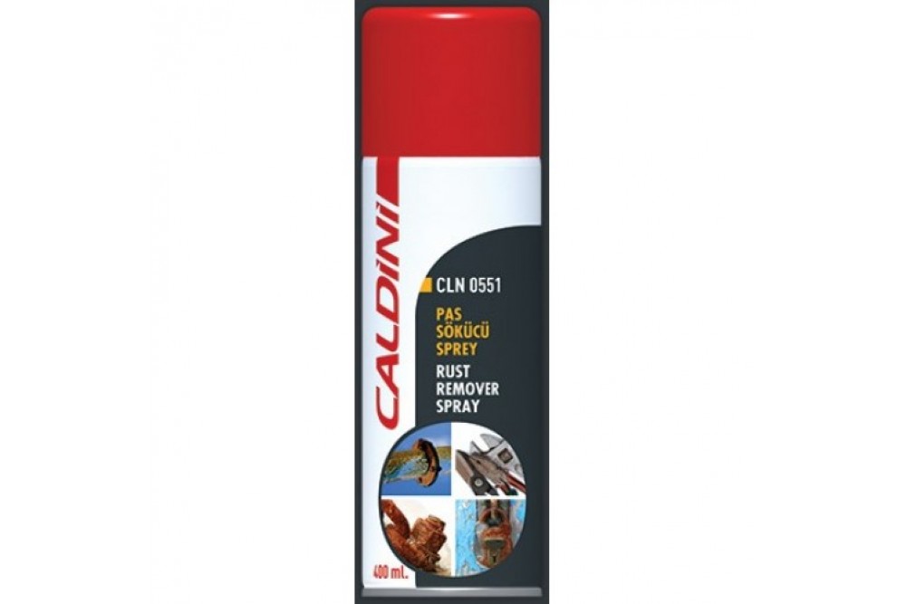 CALDİNİ PAS SÖKÜCÜ SPREY 200 ML CALDİNİ PAS SÖKÜCÜ SPREY 200 ML