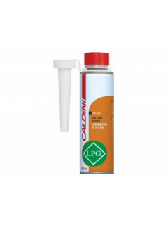 CALDİNİ LPG YAKIT KATKISI 300 ML