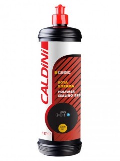 CALDINI BOYA KORUMA 1 LT