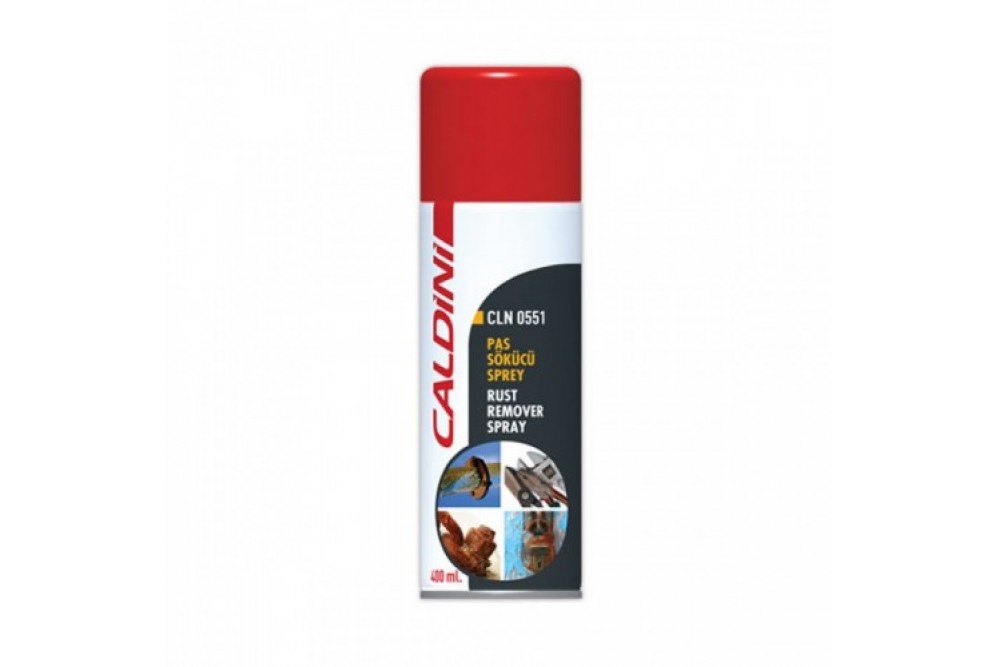 CALDİNİ PAS SÖKÜCÜ SPREY 400 ML CALDİNİ PAS SÖKÜCÜ SPREY 400 ML